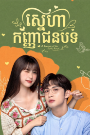 ស្នេហាកញ្ញាជនបទ (35 Eps)- A Romance of the Little Forest